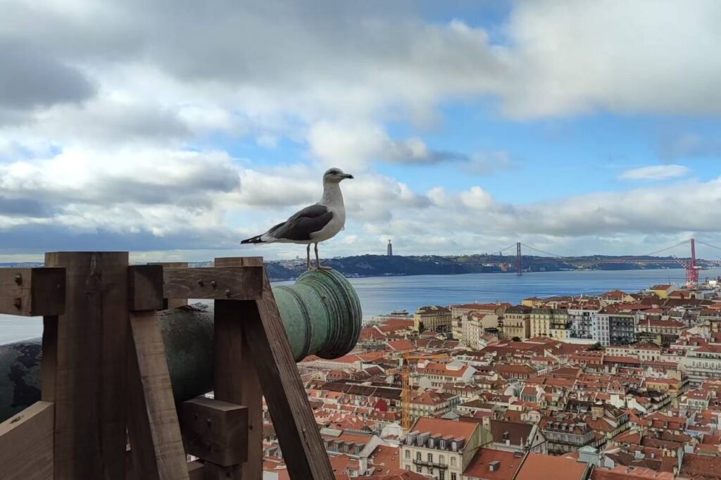 Burg Lissabon und die Lisboa Card: Lohnt sich die Karte für deinen Besuch?
